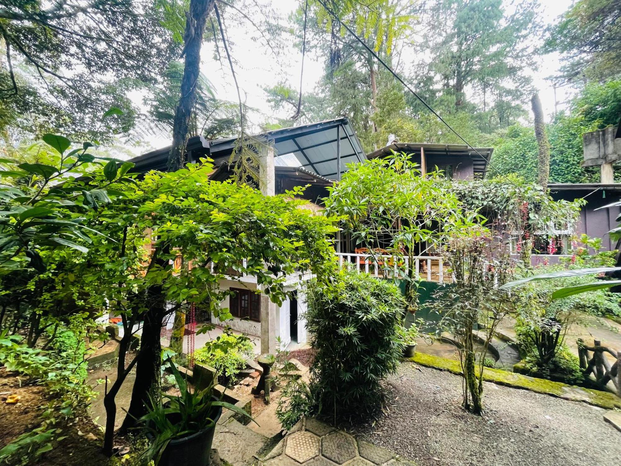 King Fern Cottage Нувара-Элия Экстерьер фото