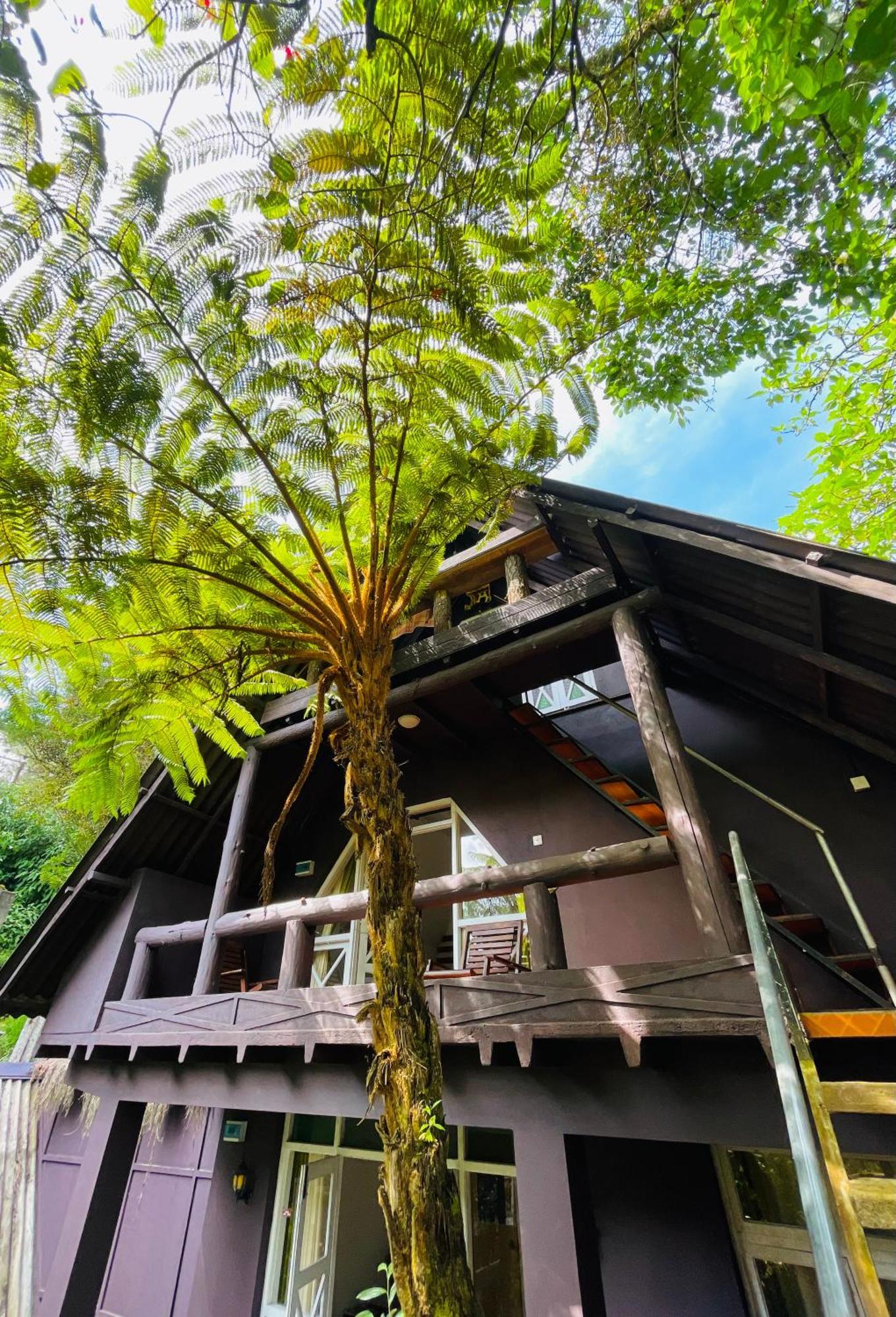 King Fern Cottage Нувара-Элия Экстерьер фото